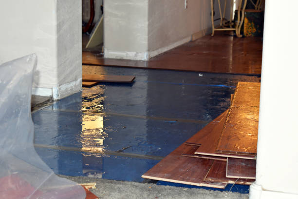 Professional Burst Pipe Cleanup technician working in Attalla, AL